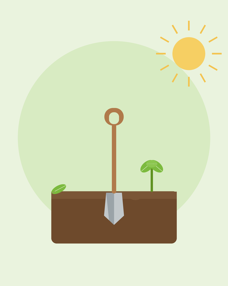 Flat illustration of a spade in prepared soil with a seedling — preparing your soil, from SeedsChoice