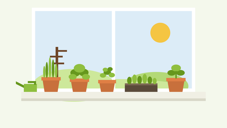 Yrttien kasvatus sisätiloissa talvella – tasainen kuvitus ruukuista, joissa on ruohosipulia, persiljaa ja kirveli, sekä salaattialustallistа valoisalla ikkunalaudalla