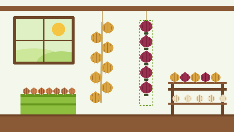 How to store onions — flat illustration of a plaited onion rope, red onions knotted in tights and onions on slatted shelves in a garden shed