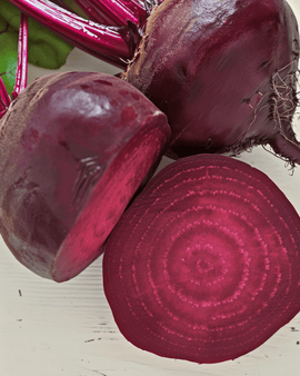 Punajuuren Egyptian Turnip Rooted siemenet – luomu Beta vulgaris yksivuotinen