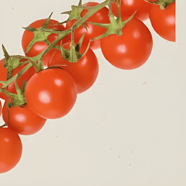 Kirsikkatomaattisiemenet Cerise Solanum lycopersicum luomu yksivuotinen vihannes