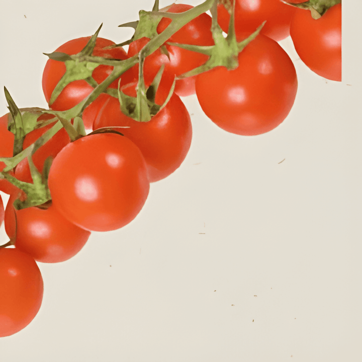 Cherry Tomato Cerise seeds (Solanum lycopersicum) – organic annual vegetable