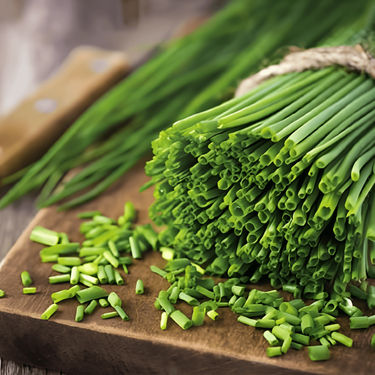 Chives Prager Medium Fine siemenet (Allium schoenoprasum) – monivuotinen yrtti