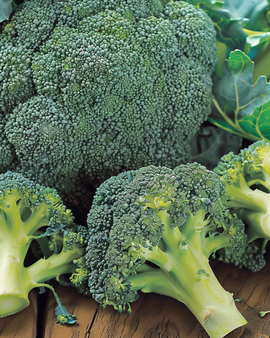 Parsakaali Calabrese Natalino siemenet – Brassica oleracea, yksivuotinen