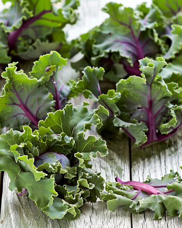 Sprouts Garden Mix F1 siemenet (Brassica oleracea) – yksivuotinen kukka