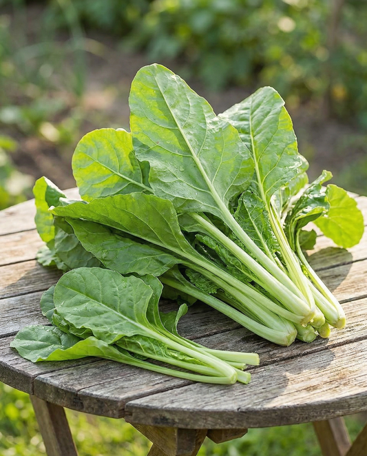 Lehtimangoldi Common Green (Beta vulgaris) – yksivuotiset vihannessiemenet | SeedsChoice