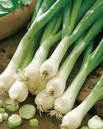 Kevätsipulin Ishikura siemenet (Allium fistulosum) – yksivuotinen vihanneslajike