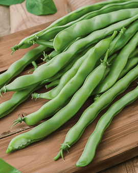 Pole Beans Neckarkönigin Seeds Phaseolus Vulgaris Annual