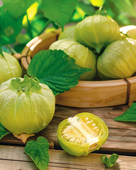 Tomatillo Seeds Physalis Ixocarpa Annual Vegetable