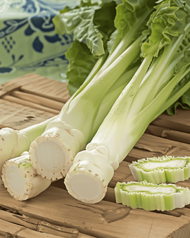 Varsisalaatinsiemenet Lactuca Sativa yksivuotinen vihannes