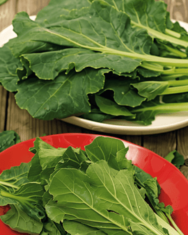 Komatsuna-siemenet Brassica rapa Mustard Spinach vihannes