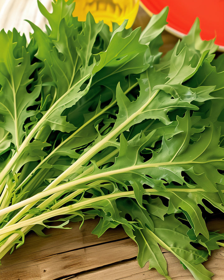Mizuna-siemenet (Brassica rapa) – vihannes