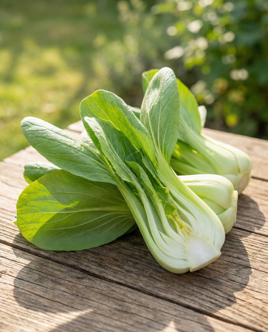 Pak Choi (Brassica chinensis) – annual vegetable seeds from SeedsChoice