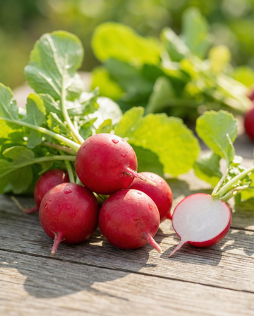 Retiisi Parat pilleröity (Raphanus sativus) – yksivuotiset vihannessiemenet SeedsChoice-verkkokaupasta