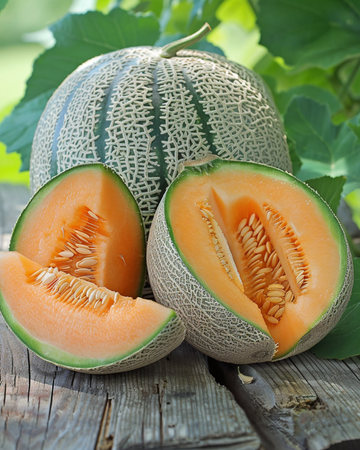 Meloni Zatta Honeydew -siemenet (Cucumis melo) – vihannes