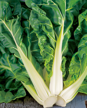 Lehtimangoldin siemenet Verde A Costa Bianca (Beta vulgaris) – vihannes