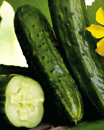 Maustekurkku Beth Alpha siemenet (Cucumis sativus) – yksivuotinen vihannes
