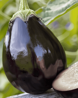 Munakoiso Black Beauty siemenet – Solanum melongena yksivuotinen lajike