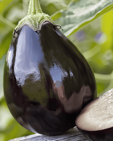 Munakoiso Black Beauty siemenet (Solanum melongena) – yksivuotinen vihannes