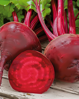 Beetroot Seeds Detroit 2 Beta Vulgaris Annual Variety