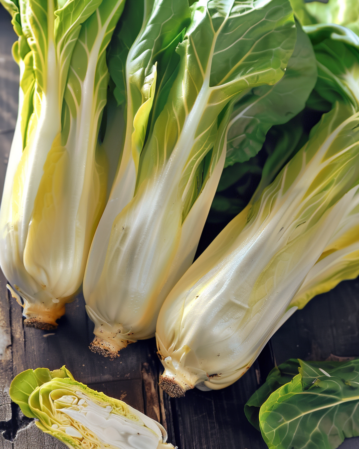 Brysselinjuurisikuri Videna siemenet (Cichorium intybus) – kaksivuotinen vihannes
