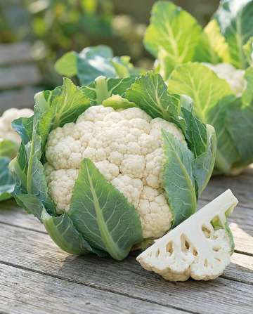 Kukkakaali Walcheren Winter 5 sato (Brassica oleracea) – kaksivuotiset vihannessiemenet SeedsChoicelta