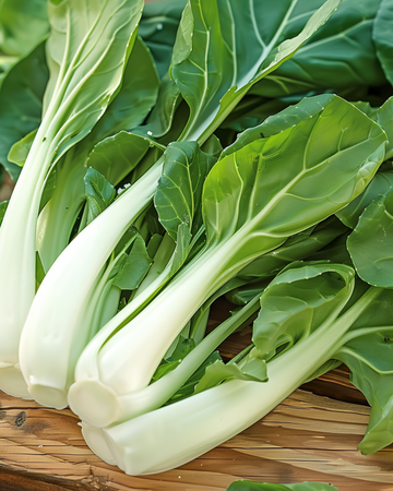 Japanilainen pak choi Taisai -siemenet (Brassica campestris) – yksivuotinen