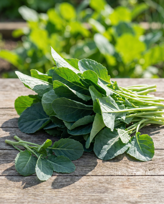 Lehtikaali Blauwe Groninger (Brassica napus) – yksivuotiset vihannessiemenet, SeedsChoice