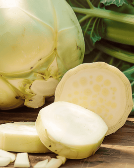 Swede Seeds Wilhelmsburger Greentop Brassica Napus Annual