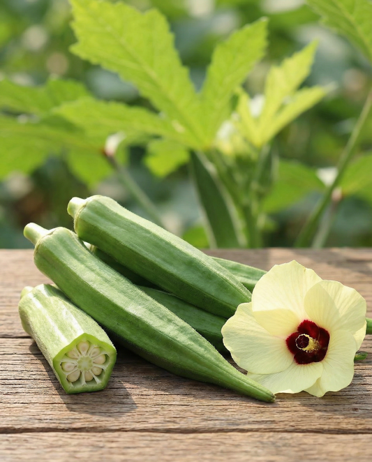 Okra Clemson Spineless (Abelmoschus esculentus) – yksivuotiset vihannessiemenet SeedsChoicelta
