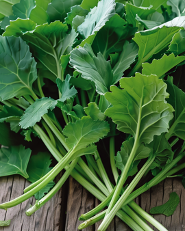 Turnip Leaves Seeds Brassica Rapa Annual Variety