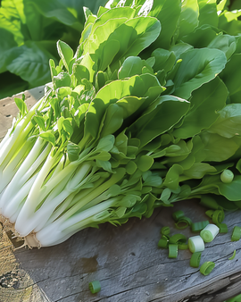 Lehtisalaatin siemenet Witte Dunsel Lactuca sativa yksivuotinen salaattivihannekset