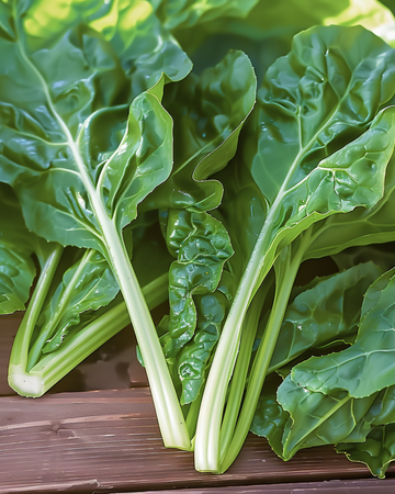 Lehtimangoldin siemenet Common Green (Beta vulgaris) – yksivuotinen vihannes