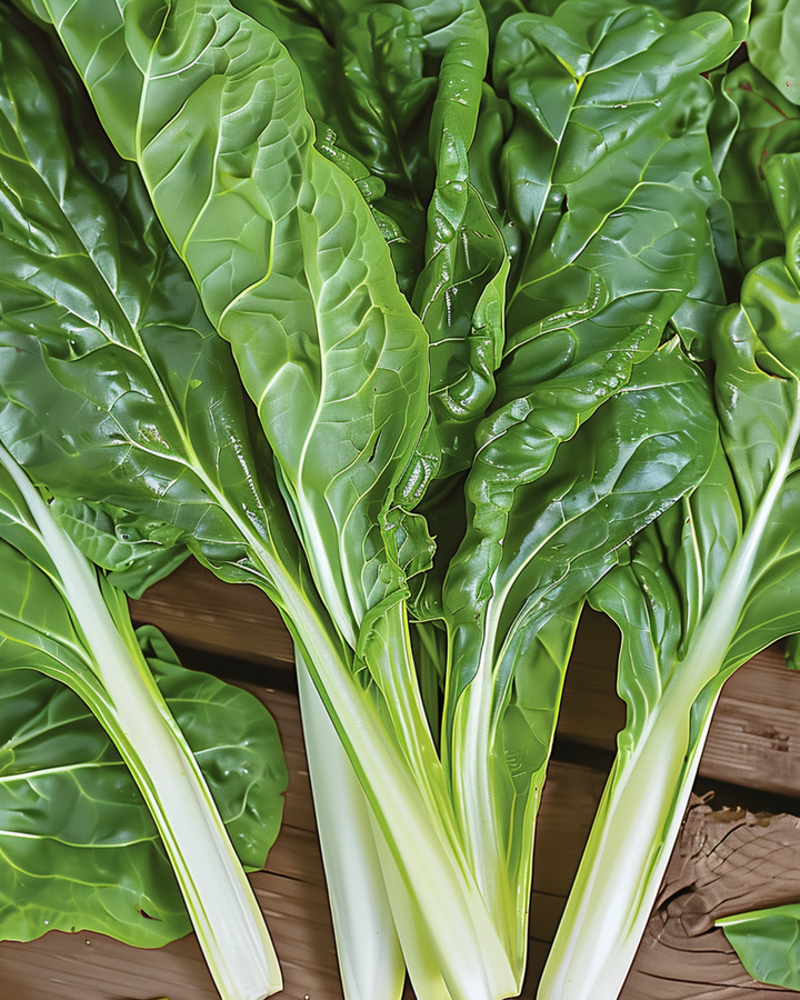 Lehtimangoldin siemenet Lucullus (Beta vulgaris) – yksivuotinen vihannes