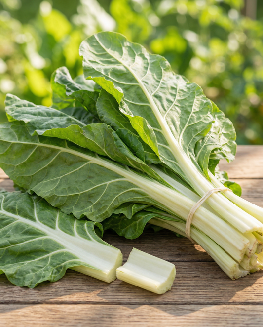 Lehtimangoldi Lucullus (Beta vulgaris) – yksivuotiset vihannessiemenet SeedsChoicelta