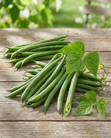 Matalakasvuinen ranskanpapu Domino 25g (Phaseolus vulgaris) – yksivuotiset vihannessiemenet, SeedsChoice