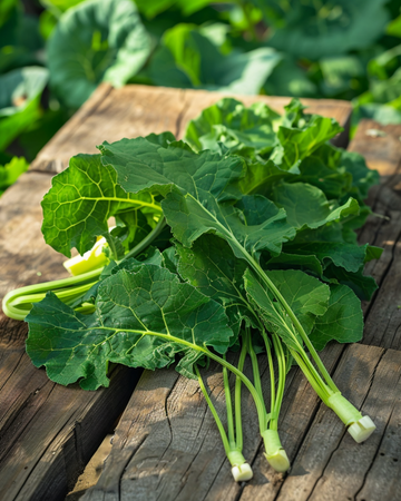 Turnip Greens Namenia Bladmoes 50g seeds (Brassica rapa) – annual vegetable