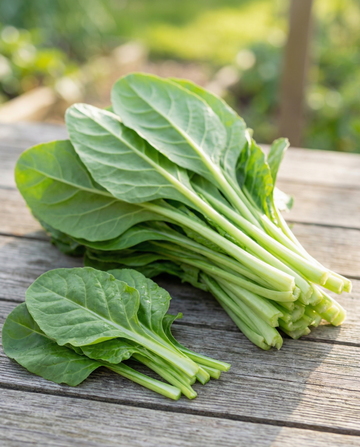 Lehtimangoldi Leafy Green 50 g (Beta vulgaris) – vihannessiemenet SeedsChoicelta