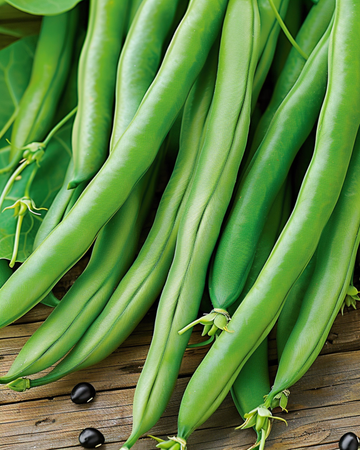 Köynnöspensaspapu Cobra 100g -siemenet (Phaseolus vulgaris) – yksivuotinen köynnöskasvi