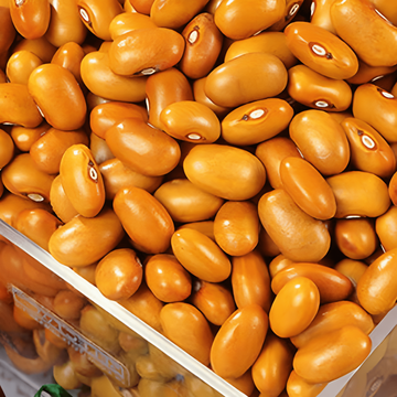 Bush Bean Brown Dutch 100g seeds (Phaseolus vulgaris) – annual vegetable