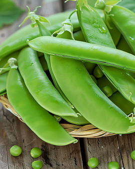 Sugar Pea Seeds Pisum Sativum Oregon Sugar Pod Annual 100g