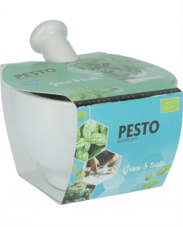 Basilika Mortar Set -siemenet (Ocimum basilicum) – luomuyrtti