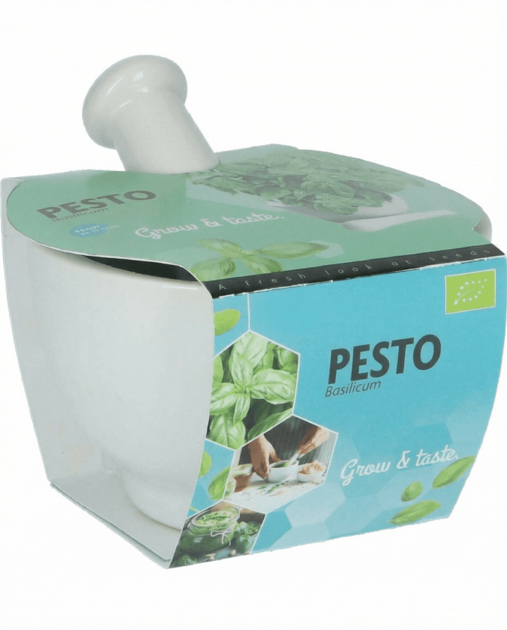 Basilika Mortar Set -siemenet (Ocimum basilicum) – luomuyrtti