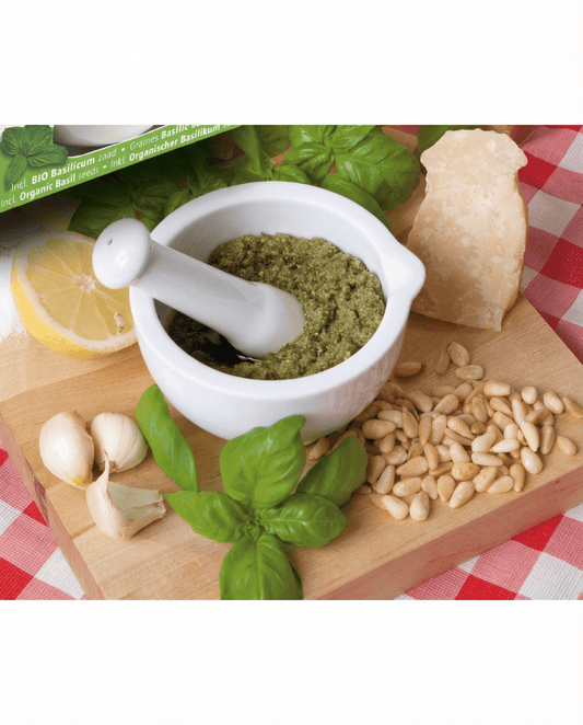 Basilika Mortar Set (Ocimum basilicum) – luomusiemenet SeedsChoicelta
