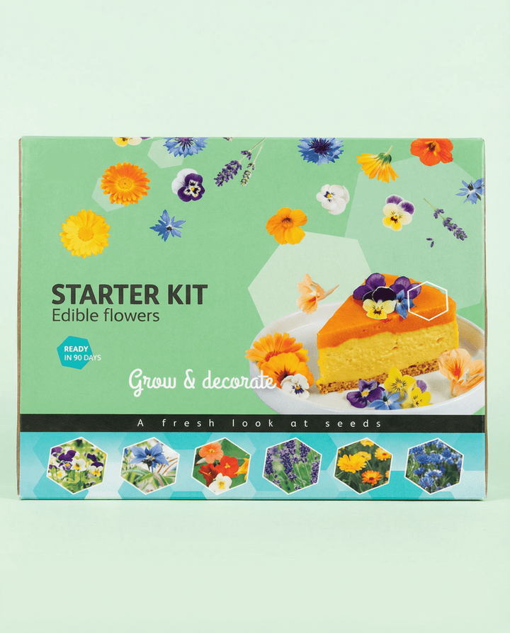 Edible Starter Set seeds (Borago officinalis) – grow kit