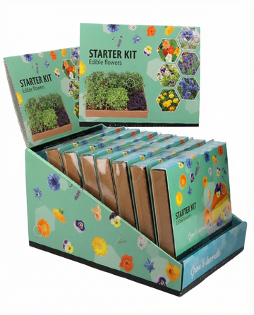 Borago officinalis – Edible Starter Set grown from seed