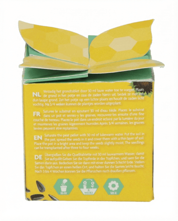 Dwarf Sunflower Gift -siemenet – yksivuotinen kasvupakkaus, SeedsChoice