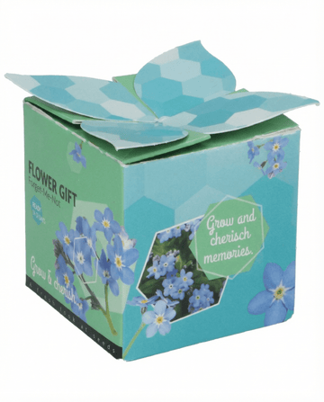 Forget-Me-Not terrakottaruukku 0,1 g -siemenet (Myosotis alpestris) – kaksivuotinen kasvatussetti