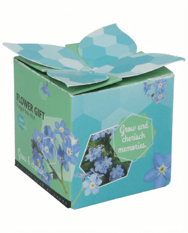 Forget-Me-Not terrakottaruukku 0,1 g -siemenet (Myosotis alpestris) – kaksivuotinen kasvatussetti