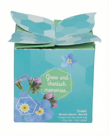 Forget-Me-Not terrakottaruukku 0,1 g (Myosotis alpestris) – kaksivuotisen kasvatussetin siemenet, SeedsChoice